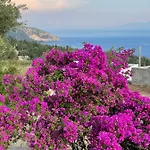 Πανσιόν Solomon&sons *