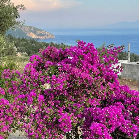 게스트하우스 Solomon&sons *