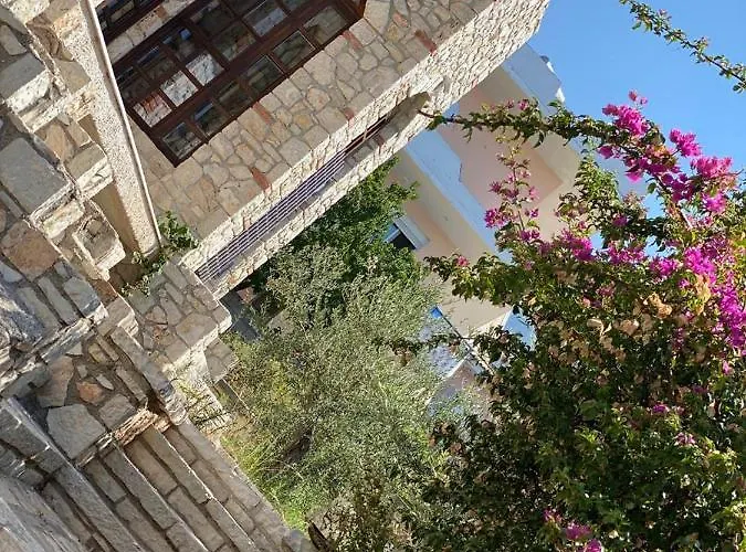 Solomon&sons Pensión Dhërmi