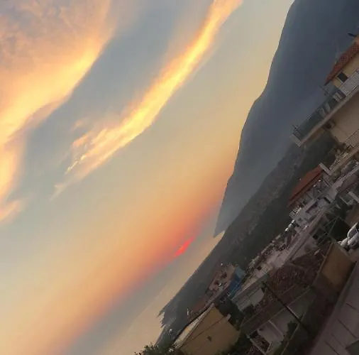 Gasthuis Solomon&sons *